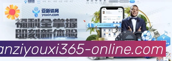 未来规划